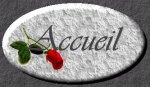 Accueil