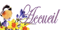 Accueil