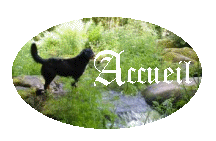 Accueil