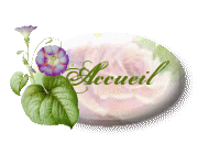 Accueil
