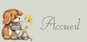Accueil