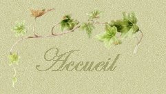 Accueil