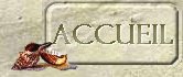 Accueil